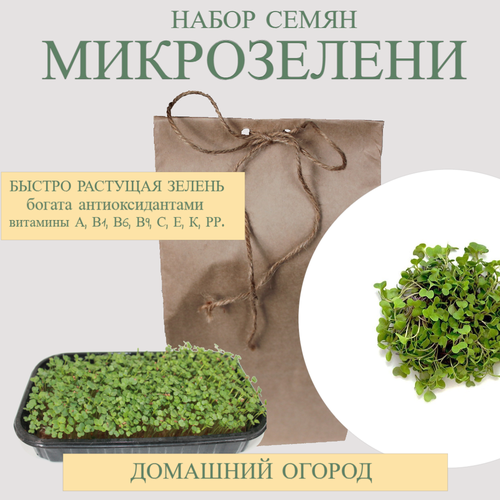 ������ ������ ����� ����� 