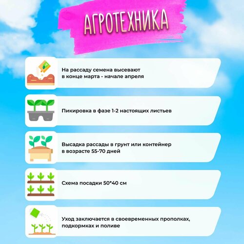 ������ ������ ����� ������� ��������� 10 �� ��� ����������� ������ ����