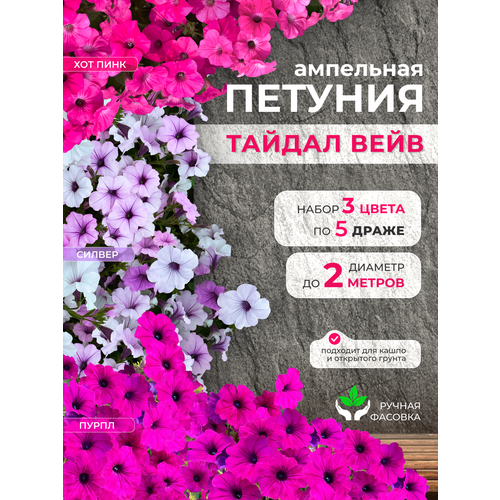 ������ ������ ��������� ������� ���������������� ������ ������ ���� 3 ����� �� 5 ����� ����