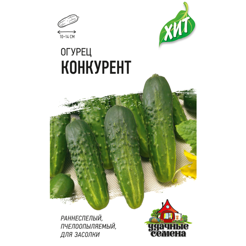 ������ ������ ������ ������ ������� ������ ���, ������ ���������, 0,5� ����