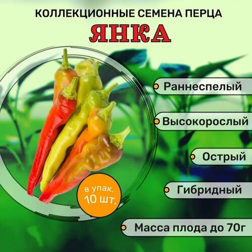 ������ ������ ������������� ������ ����� ������� ���� F1 ����