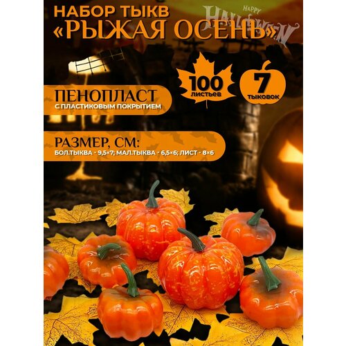 ������ ������ ����� ���� 