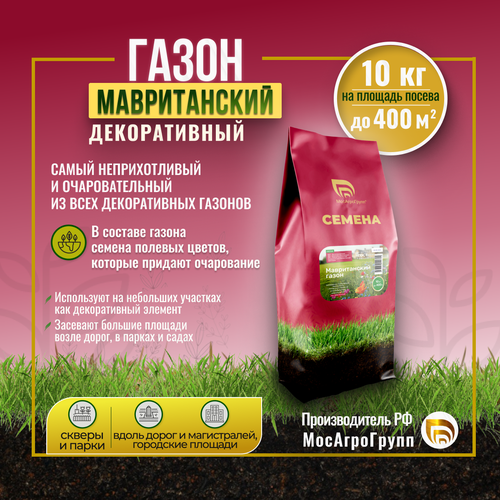 ������ ������ ������ �������� ����� 