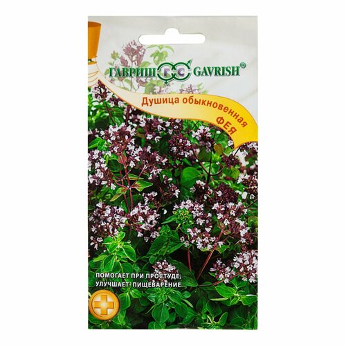 ������ ������ ������ ������ ��� (�������), 0.1 � ����