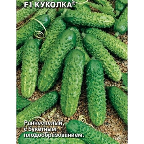 ������ ������ ������ ������ F1 ������� ����