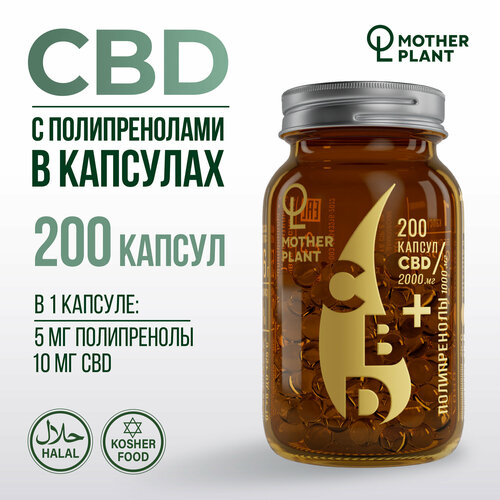 ������ ������ ����� CBD � ������������� � �������� (200 ������ �� 10 ��), Motherplant ����