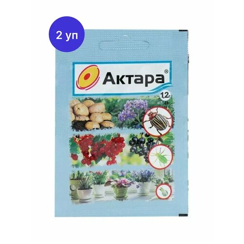 ������ ������ �������� �� ���������� ������ ����