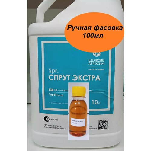 ������ ������ ����� ������ �� 100�� �������� ����