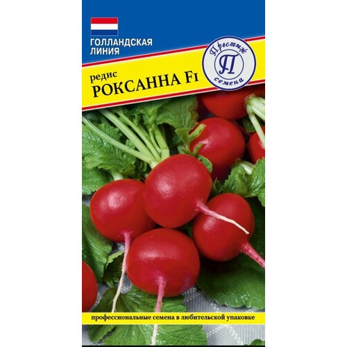 ������ ������ ������ ����� �������� F1 1� ������� (�������) ����