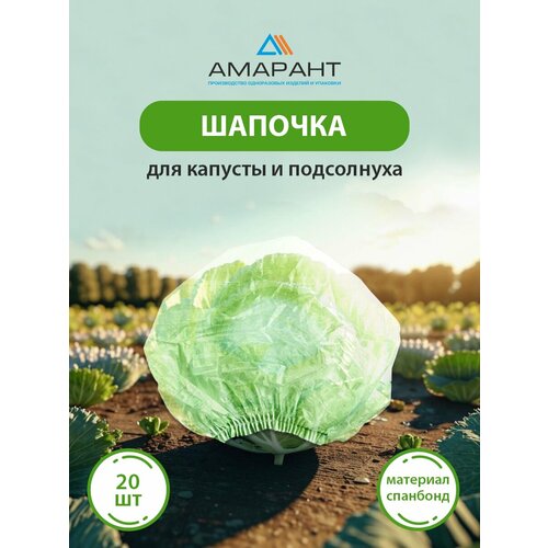 ������ ������ ������� ������� ��� ������� � ����������, ������� 20 �� ����