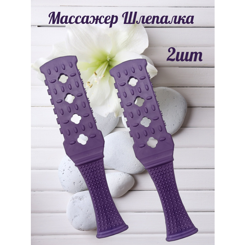 ������ ������ �������� �������� �������� �������� ��� ���� (2��) ����