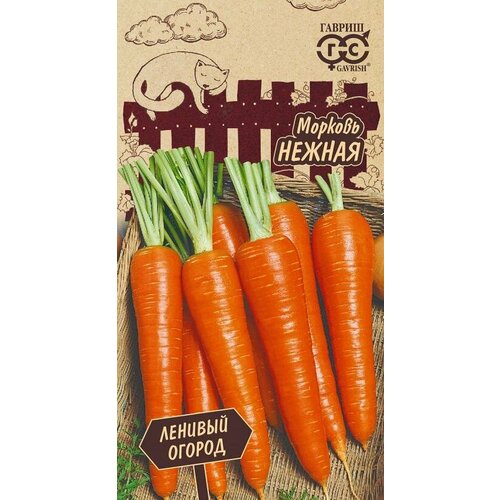 ������ ������ ������ ������� ������ 2� (������) ������� ������ ����