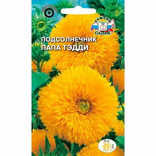 ������ ������ ������������ ���� ����� ����. 1� (�����) ����