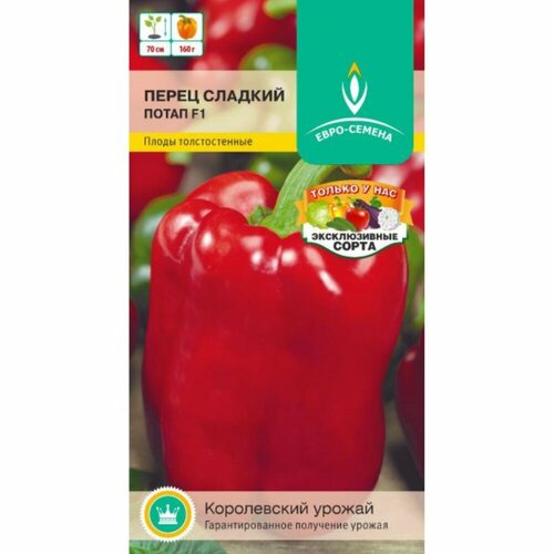 ������ ������ ������ ����� ����� F1 0,05� (7-8��) ������ (����-������) ����