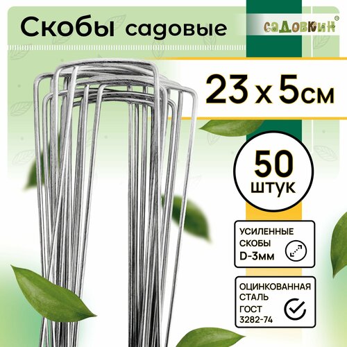 ������ ������ ����� ������� �-�����, ������ 23�� � 5��, d-3��, (50 ��) ����