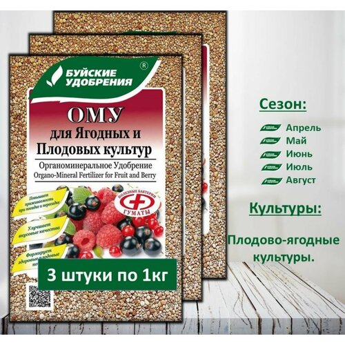 ������ ������ ��� 