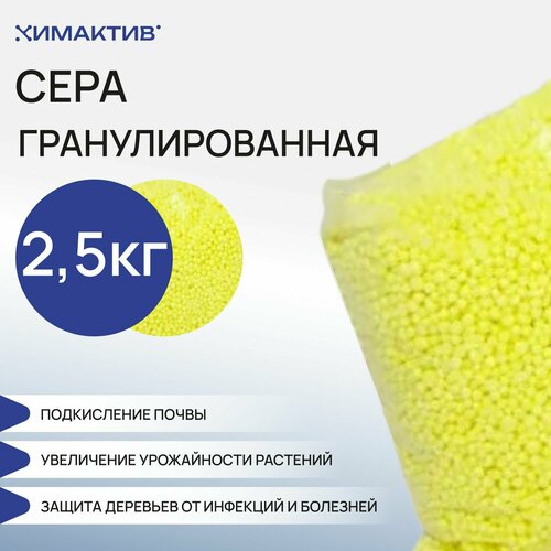 ������ ������ ���� ��������������� 2,5 �� , ��� ��������, ��������, ��������� �������� ����