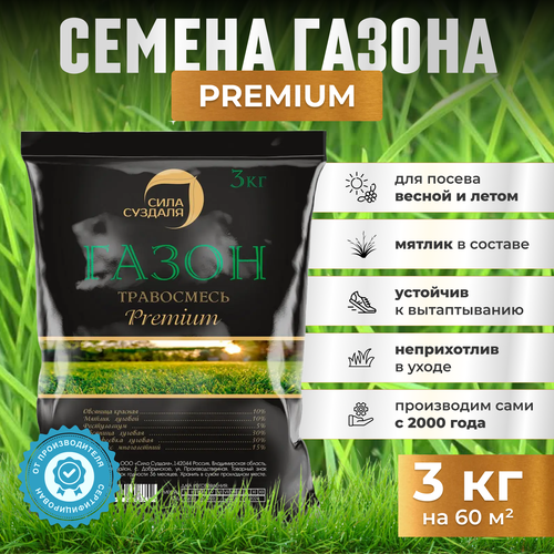 ������ ������ ������ �������� ����� 