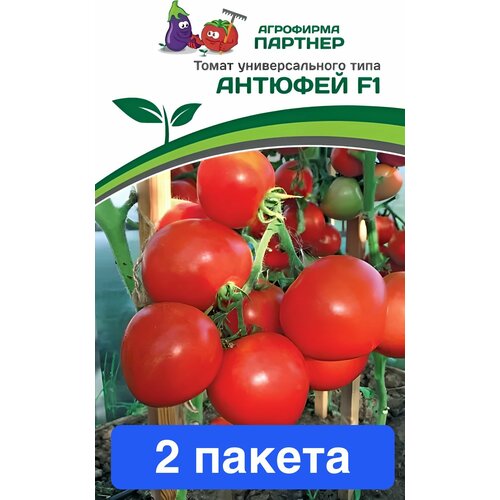 ������ ������ ������ ������ ��������� ������� 