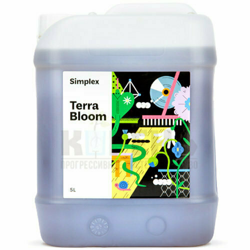 ������ ������ ��������� Simplex Terra Bloom 5 � ����