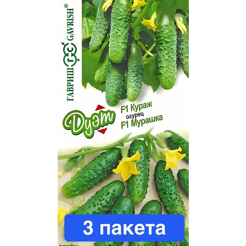 ������ ������ ������ ������ ������ 