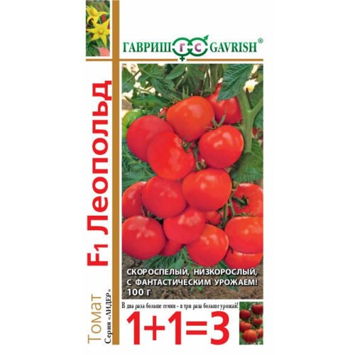 ������ ������ ������ ����� �������� F1 25�� ��� ������ (������) 1+1 ����