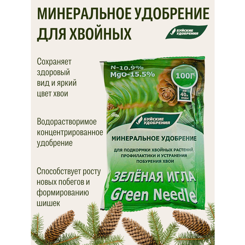 ������ ������ ��������������� ��������� 