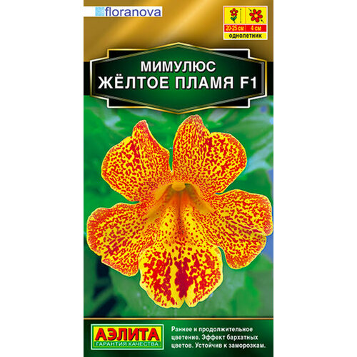 ������ ������ ������ ������� ������ ����� F1 10�� ��� 20�� (������) ����