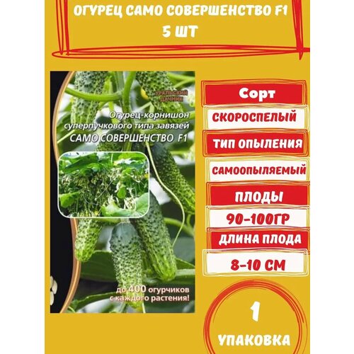 ������ ������ ������ ������ ���� ������������ F1, 5 ����� 1 �������� ����