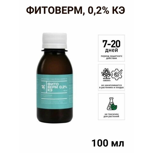 ������ ������ �������� ����