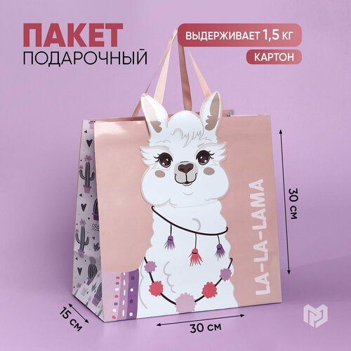 ������ ������ ����� ���������� ������� �����, 30 � 30 � 15 �� ����