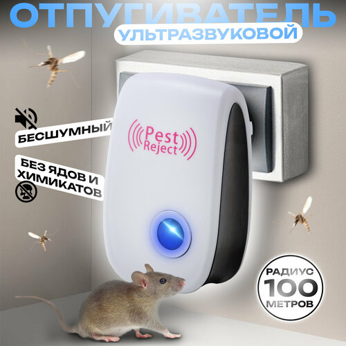 ������ ������ ������������ �������������� ����