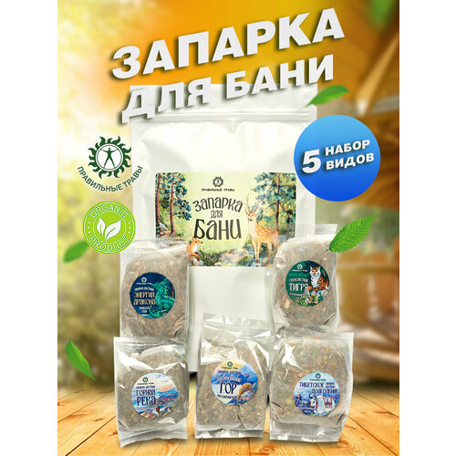 ������ ������ ������� ��� ���� � �����, 5 �������� ������ ����