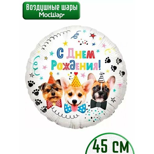 ������ ������ ��������� ��� � ���� ��������, ������� ����