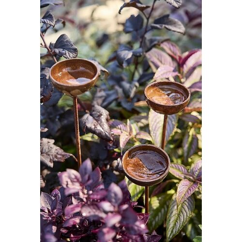 ������ ������ ����� ��� �������� � ������ ������� 60�� ����� ����