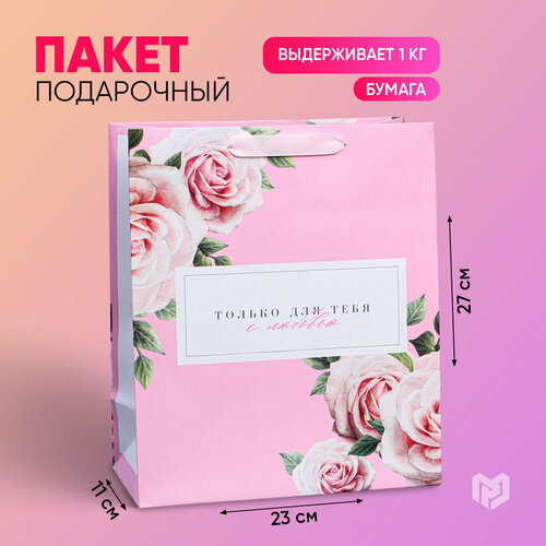 ������ ������ ����� ���������� ������� ��� ���� � ��������, 23 ? 27 ? 11,5 �� ����