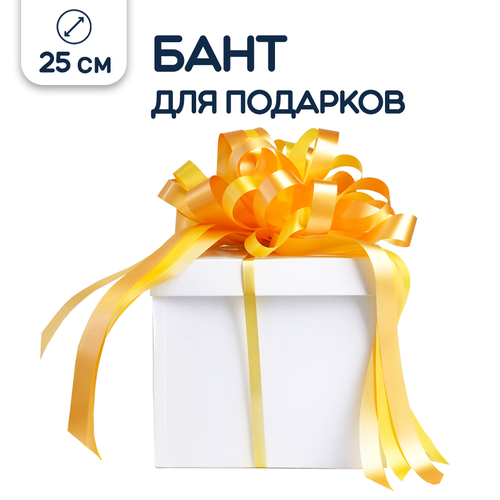 ������ ������ ���� ��� ������� �������, ������, 25 �� ����