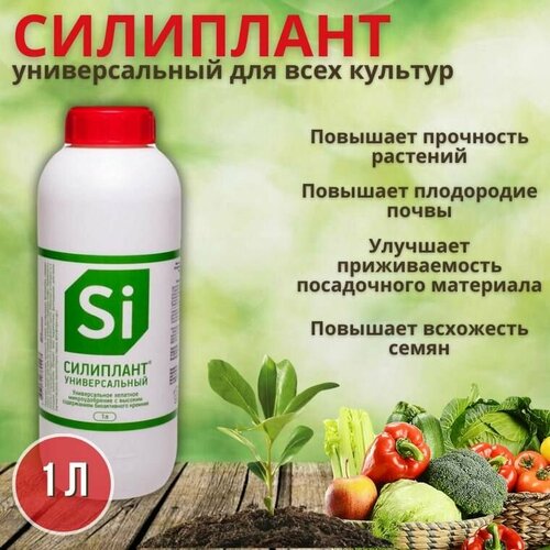 ������ ������ ������������� ����������������� ������ �������������� ��������� 1� ����