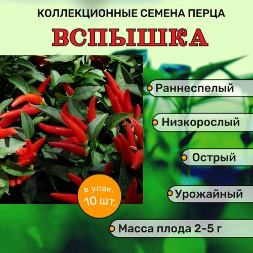 ������ ������ ������������� ������ ����� ������� ������� ����