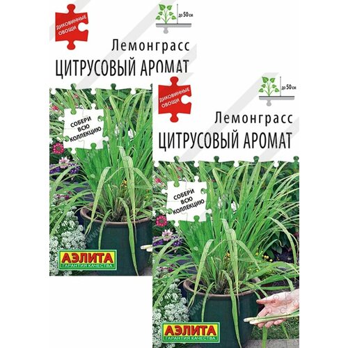 ������ ������ ���������� ���������� ������ (0,03 �), 2 ������ ����