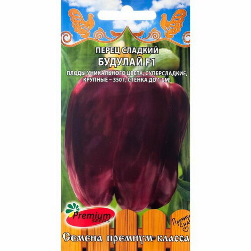 ������ ������ ������ ����� 