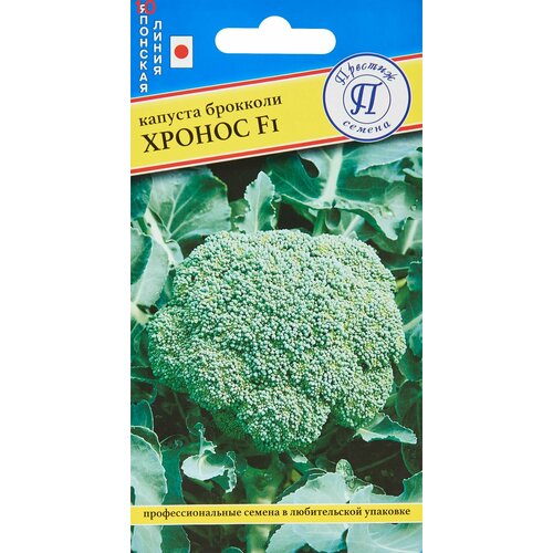 ������ ������ ������ ������� �������� ������ F1 10�� ������ (�������) ����