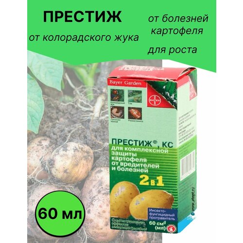 ������ ������ ������� �� ��� ��������� 60 �� ����