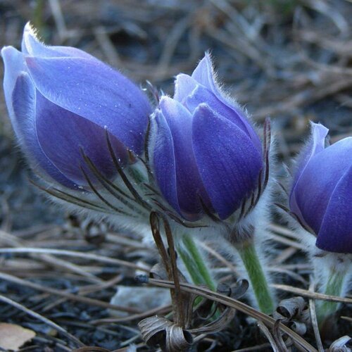 ������ ������ ������ �������� ������������ ����� 0,05 � (1 ��������) ����