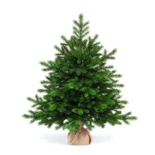 ������ ������ ��� ������������� ���� ���� ������� �������, 60 �� ����