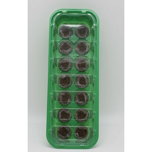 ������ ������ ���� ������ � ��������� ���������� (14 ��), d 41 ����