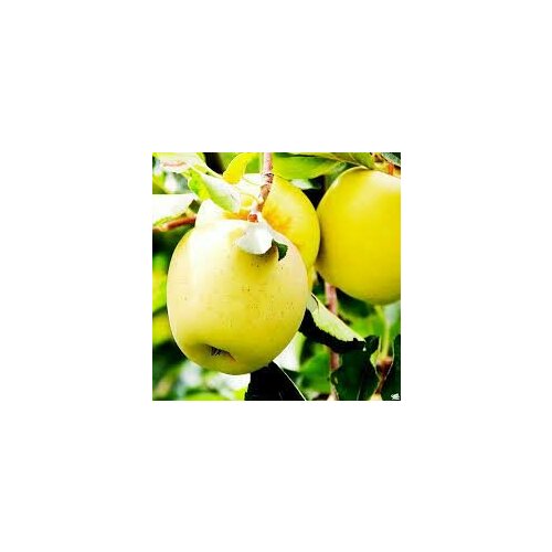 ������ ������ ������ ������ ������� ����