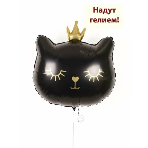 ������ ������ ��������� ��� � ������ �������������� ������ ������ ������� ��������� ������ 1�� ����