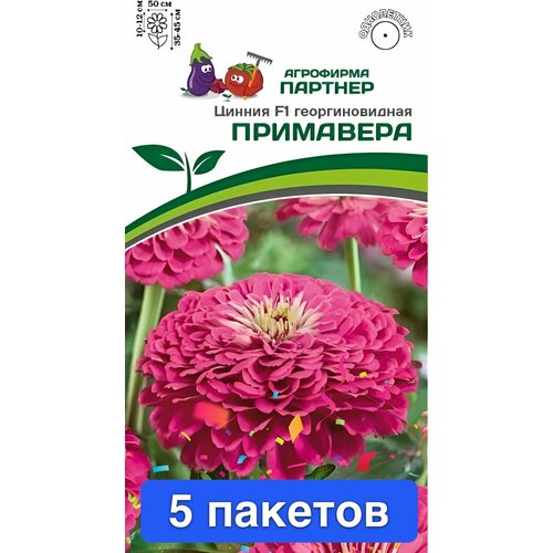 ������ ������ ����� ������ ��������� F1 ������� 5 ������� ����