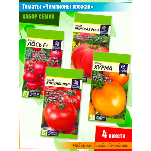 ������ ������ ����� ����� �������: ���� f1, ������� ����, ���������, ����� �� ������ ����� (4 �����) ����